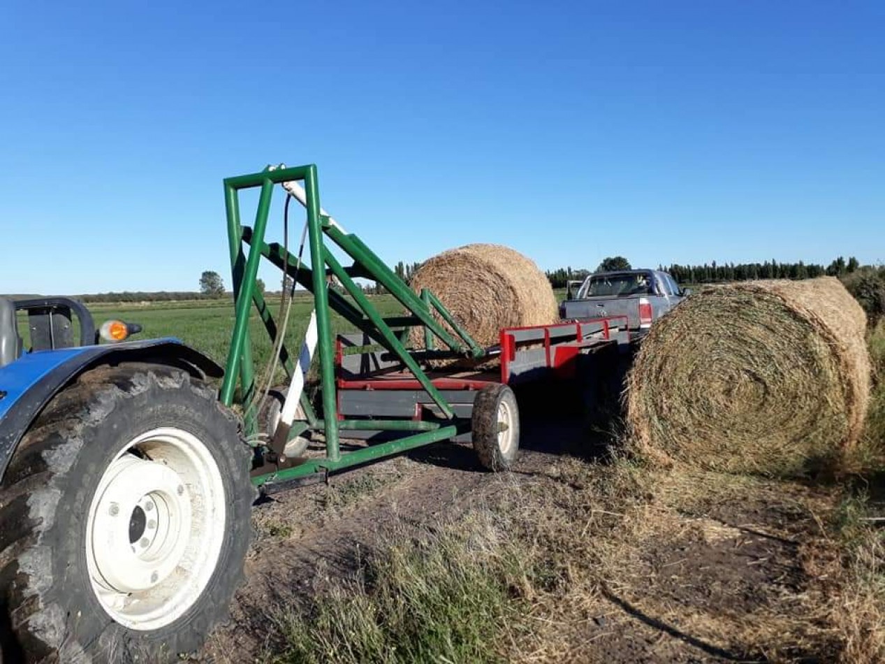 Vendemos campo 230 hectareas