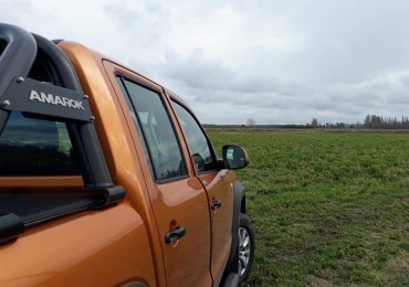 Vendemos campo 690 hectarea