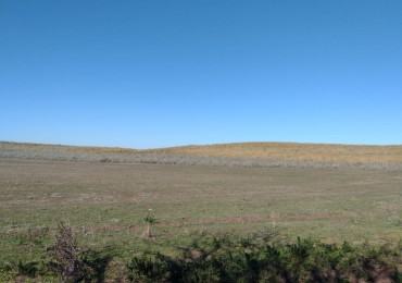 Campo en venta en Medanos , cerca de Bahia Blanca , partido de villarino 