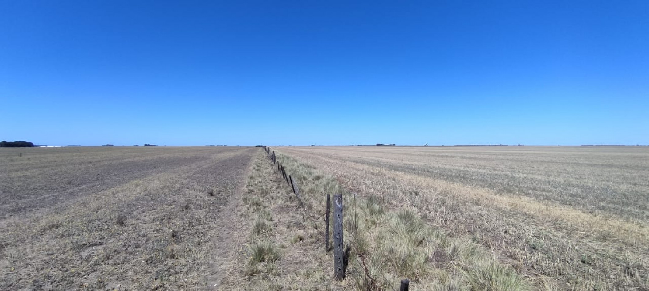 CAMPO AGRICOLA EN CORONEL DORREGO EN VENTA