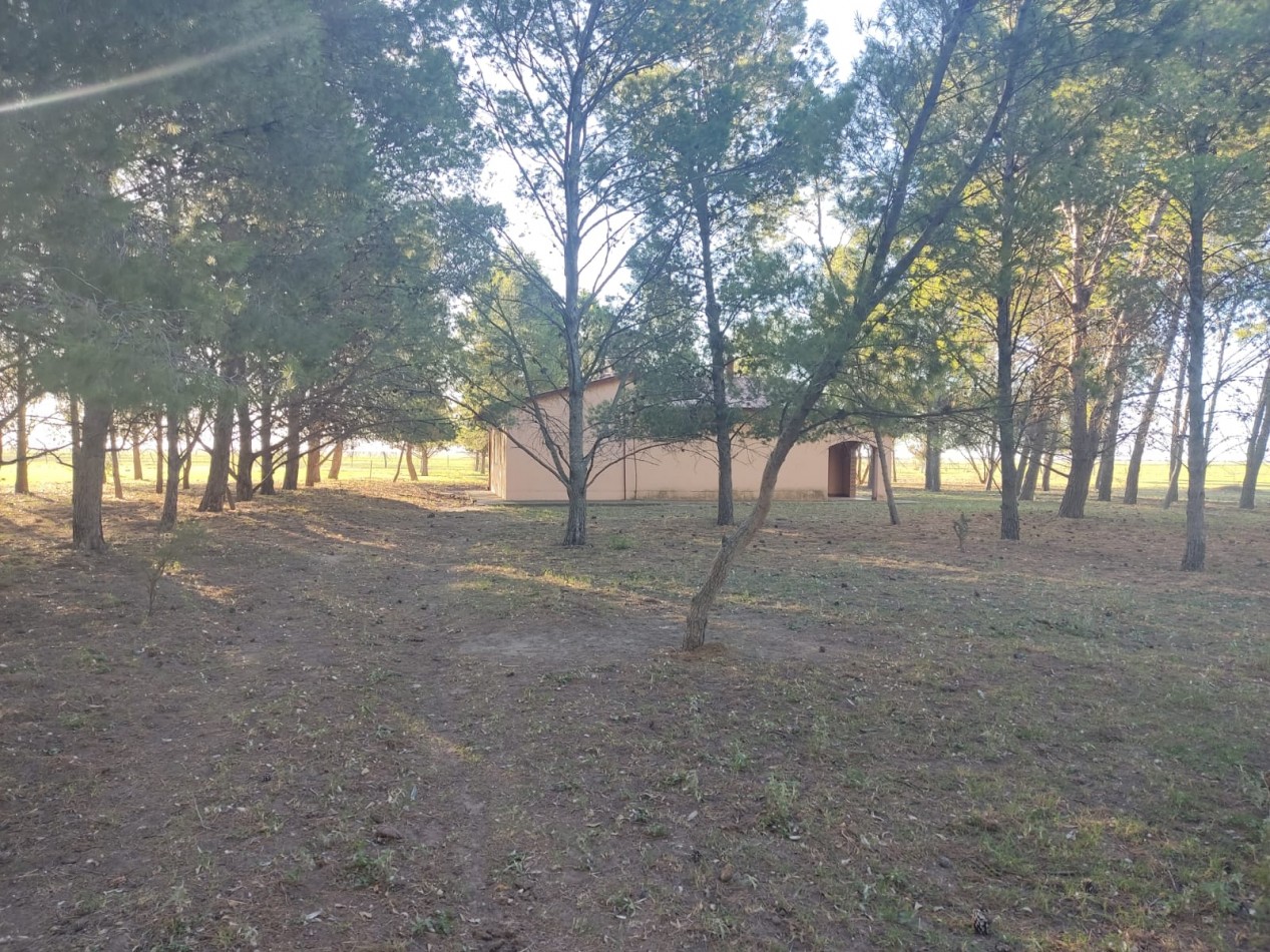 CAMPO EN MEDANOS