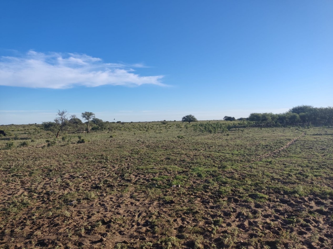 CAMPO EN MEDANOS