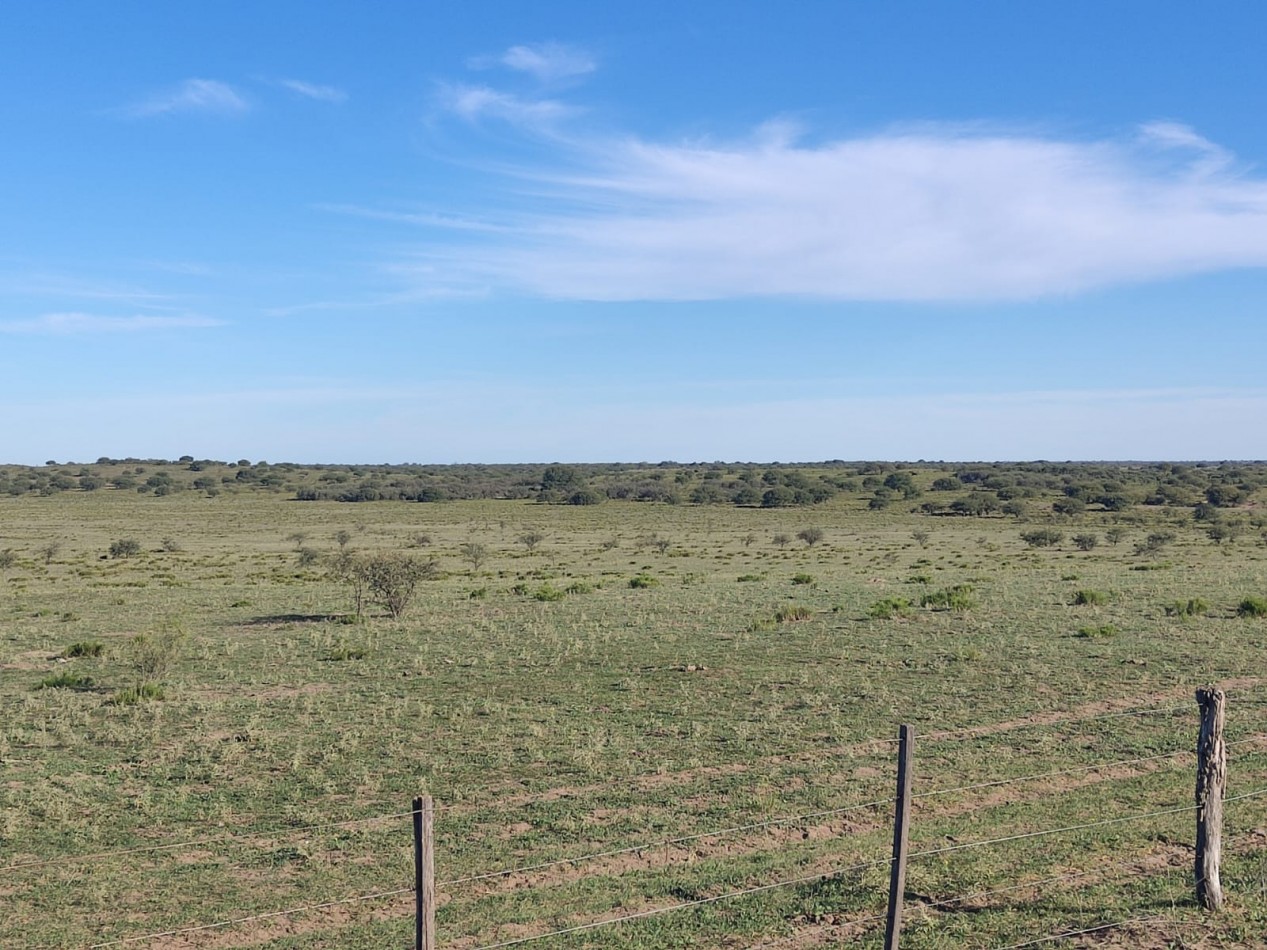 CAMPO EN MEDANOS