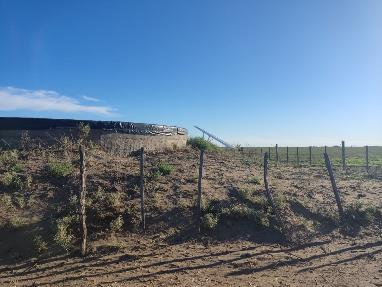 CAMPO EN MEDANOS