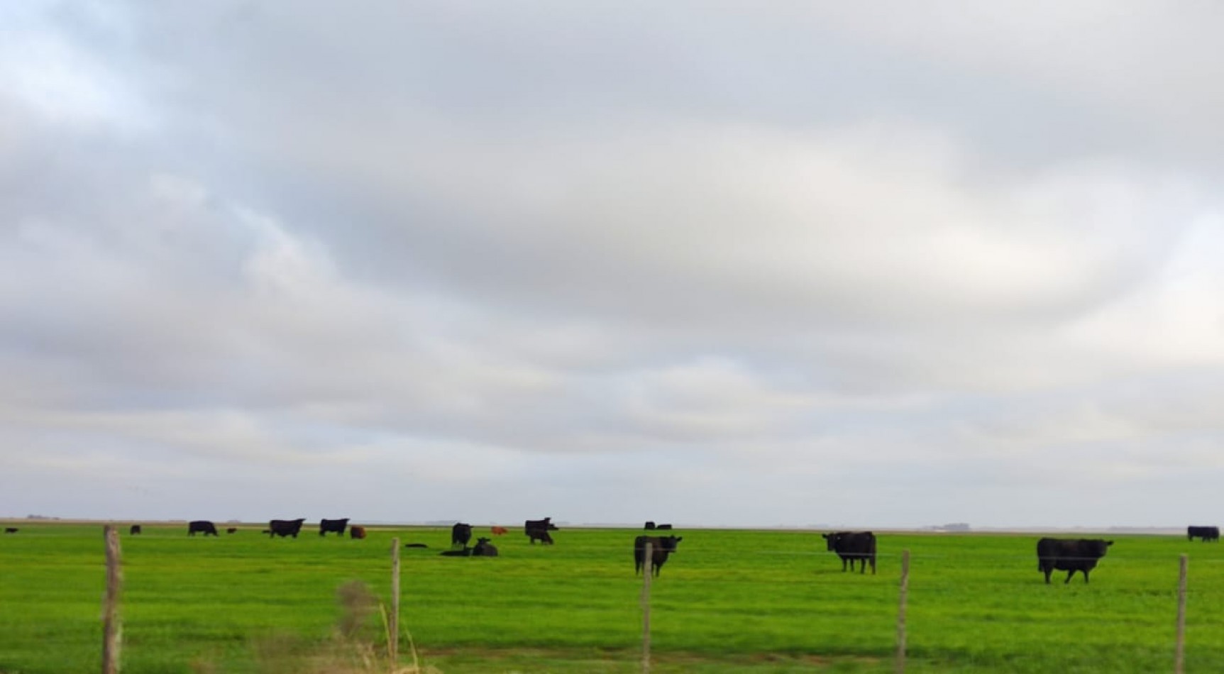 CAMPO EN VENTA CERCA DE LA RUTA EN CORONEL DORREGO